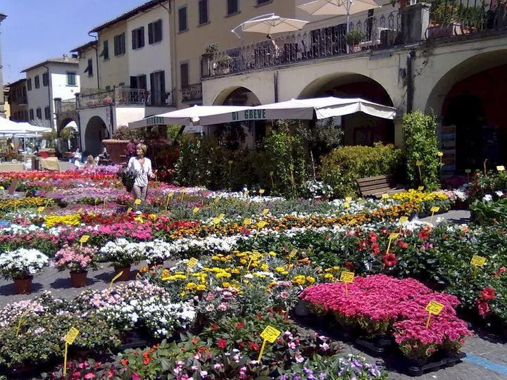 genieten in Greve in Chianti in het hart van Toscane