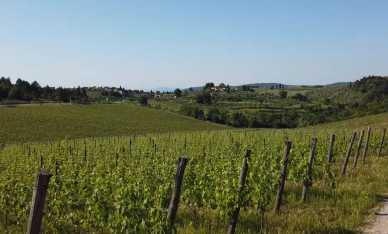 Geschiedenis van de Chianti wijnregio