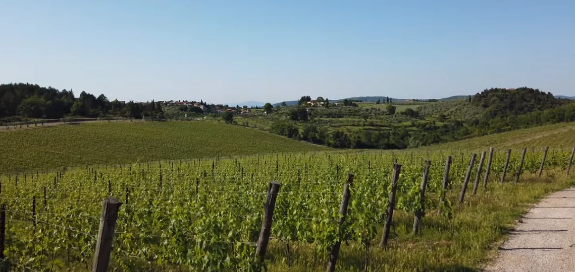 Geschiedenis van de Chianti wijnregio