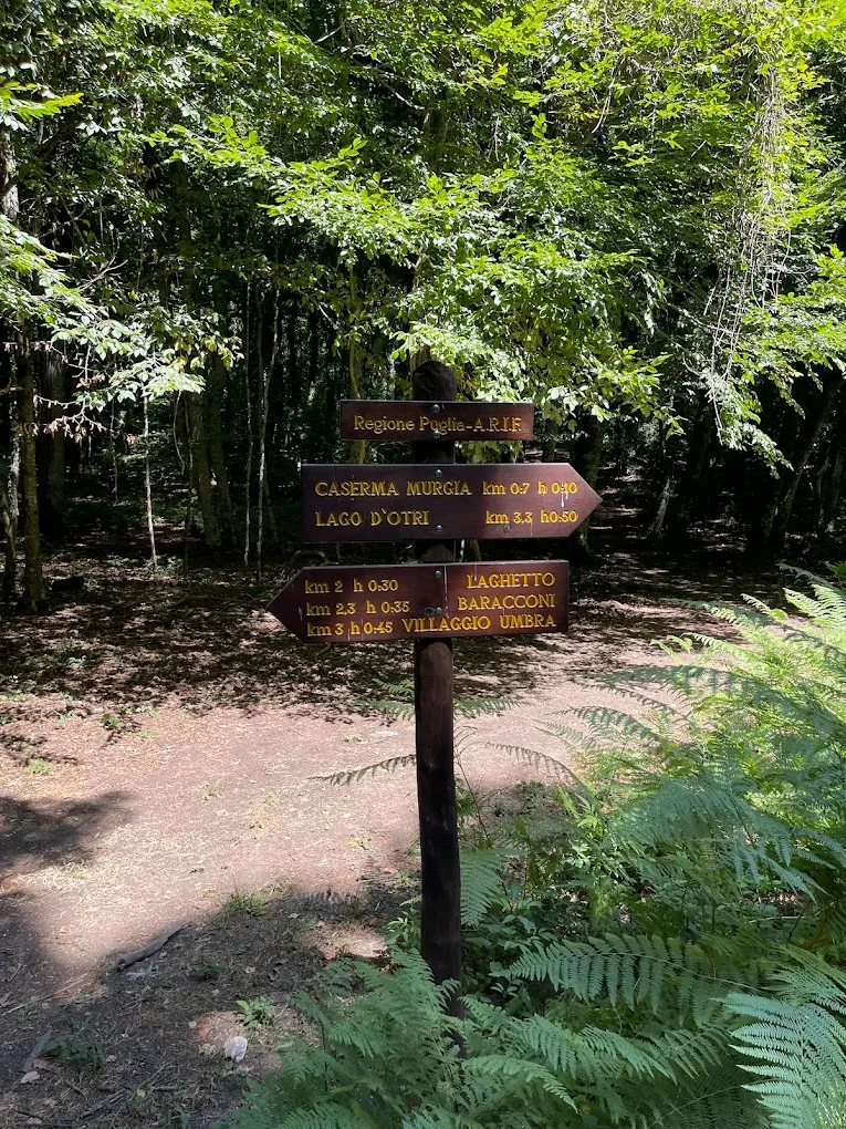 wandelen in Foresta Umbra wandelen in Foresta Umbra