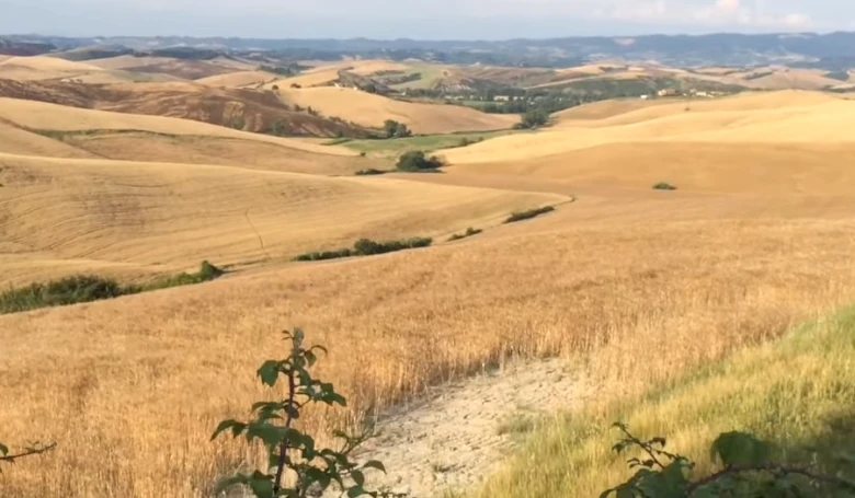 Ontdek Lajatico en Andrea Bocelli in Toscane