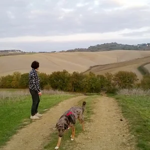 Vakantie met de hond mee naar Italië