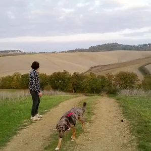 Met de hond naar Italië