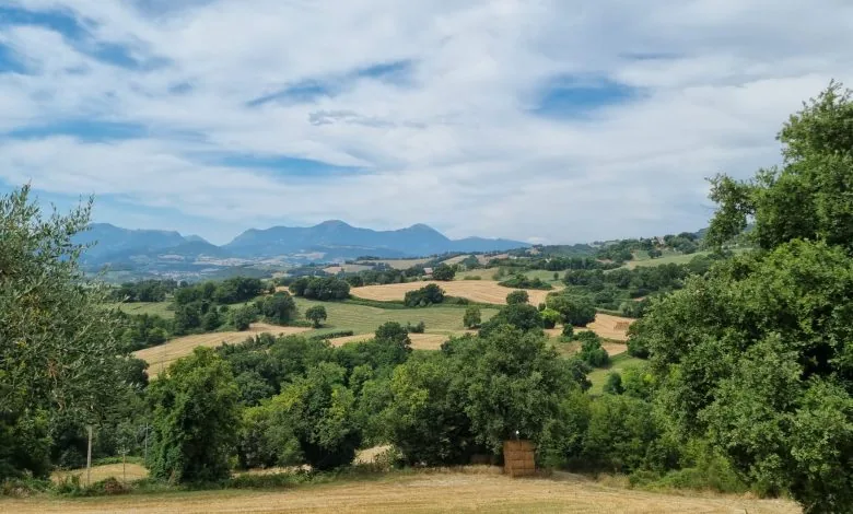 kleinschalige agriturismo Le Marche