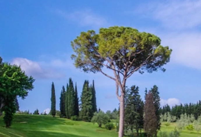 Golfen in Toscane