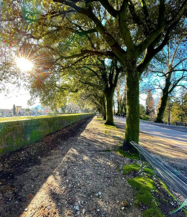 fietsen op stadsmuren van Lucca