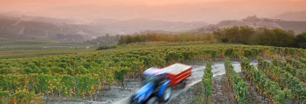 wijn uit piemonte wijn uit piemonte