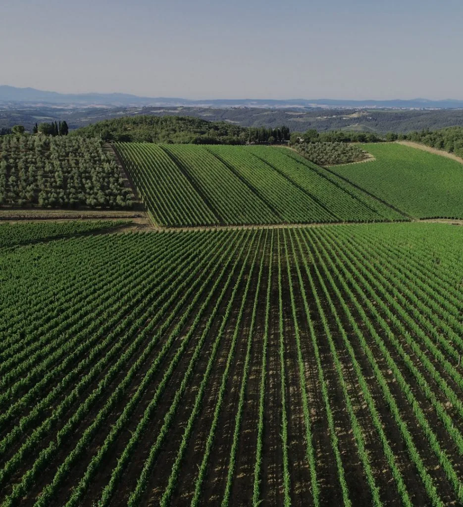 wijnproeven in toscane