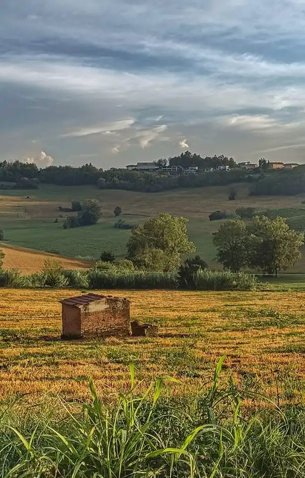 monferrato piemonte