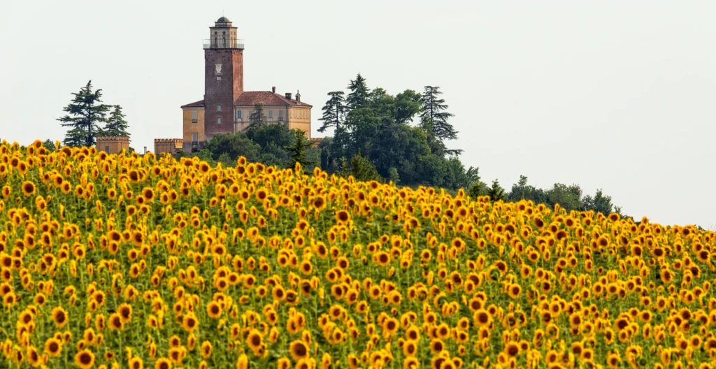 monferrato piemonte