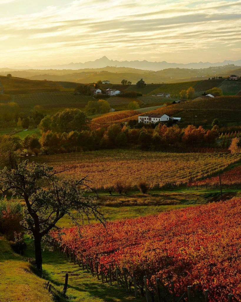 monferrato piemonte