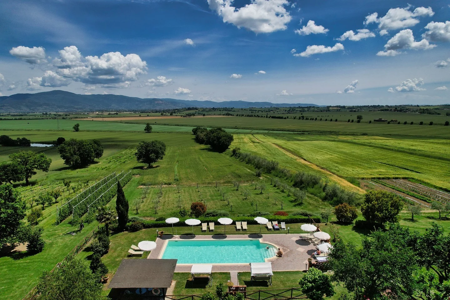 Golvend landschap in Toscane met cipressen en wijngaarden en agriturismo – tips reis Italië