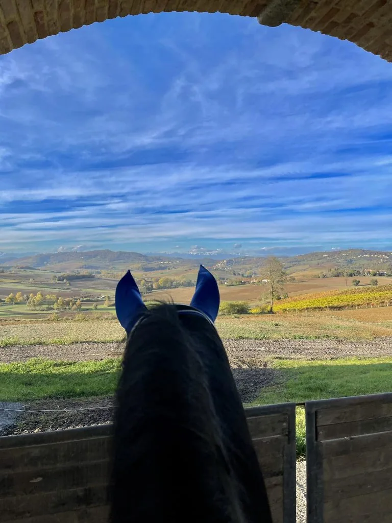 monferrato piemonte