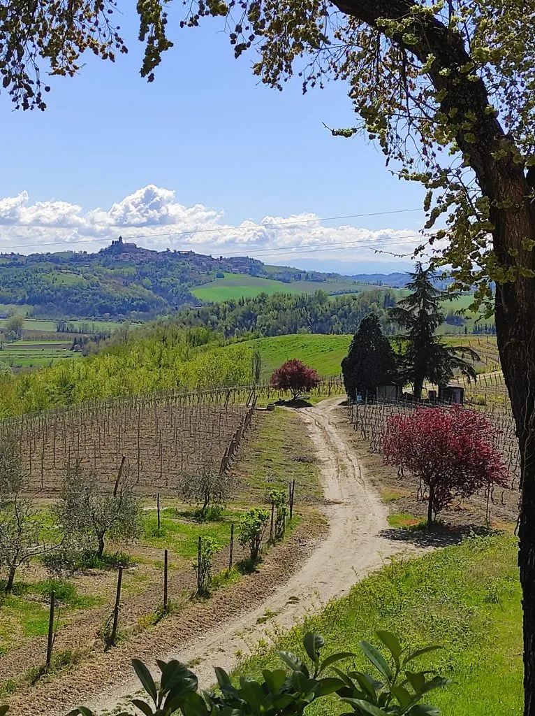 monferrato piemonte