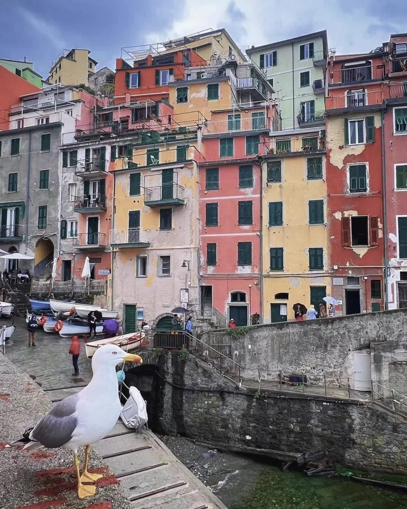 cinque terre in 1 dag