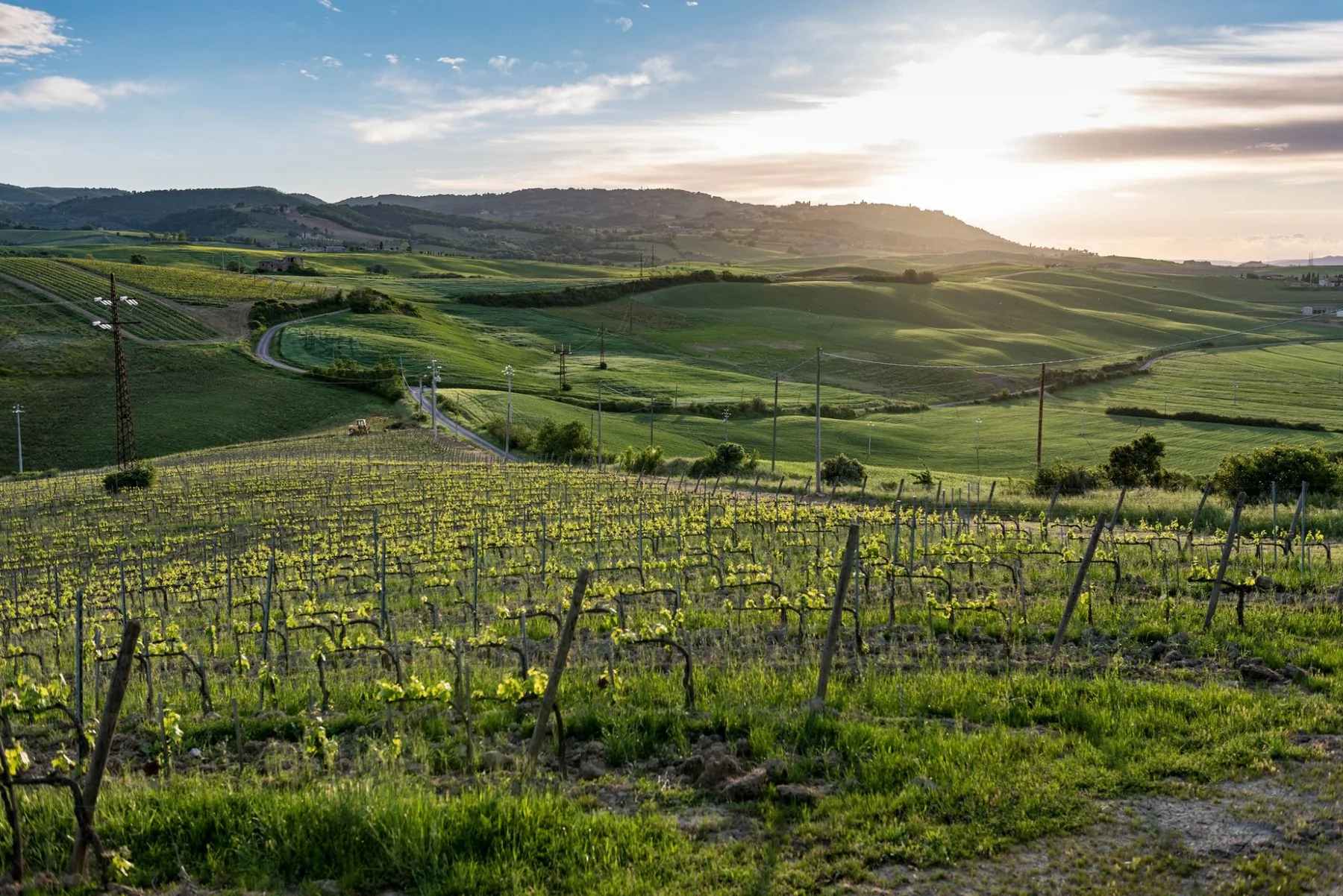 Montepulciano bezoeken Montalcino en wijngaarden in Toscane
