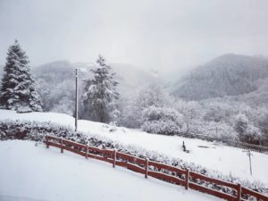 Wintersport in Dedenborn Noord Eifel, omgeving monschau Winter Skien dicht bij huis