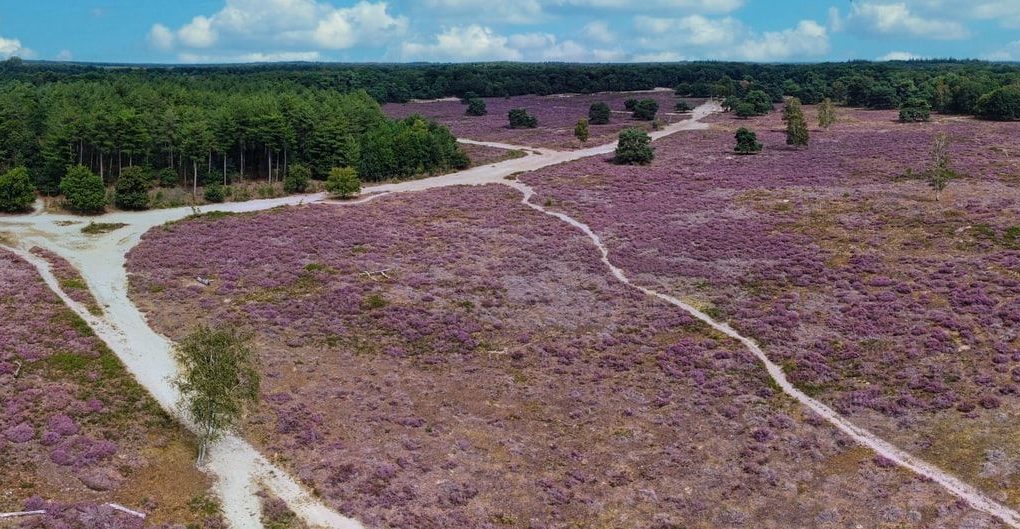 vakantiepark-veluwe