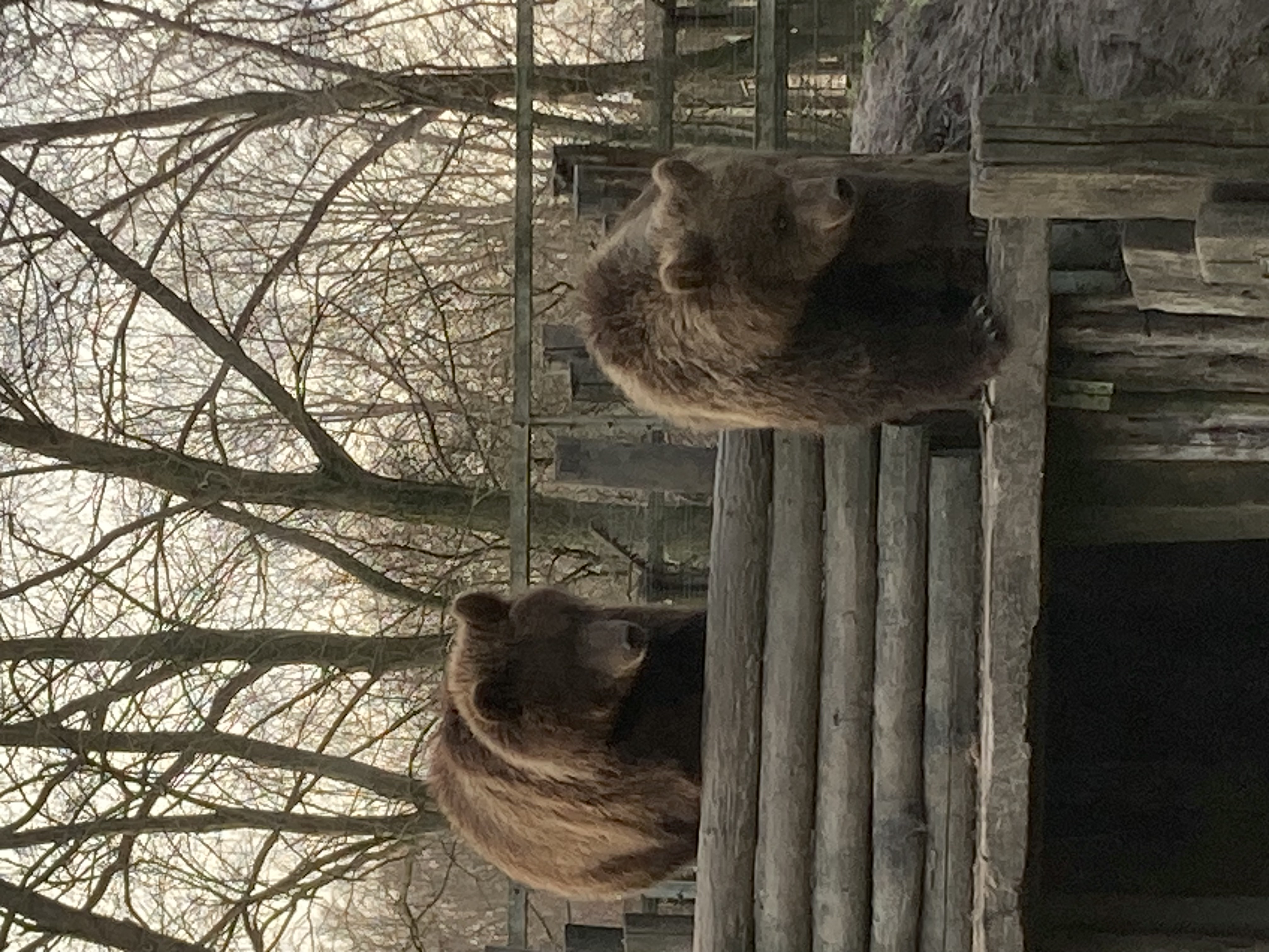 Dierenpark De Zonnegloed