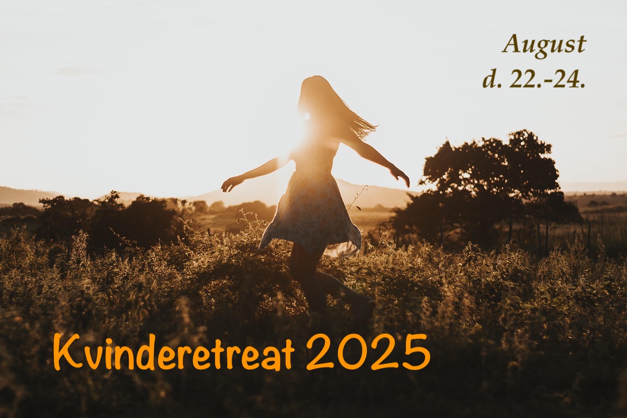Read more about the article Kvinderetreat 2025