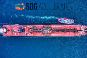 FN's SDG Accelerator