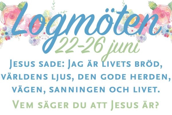 logmöte