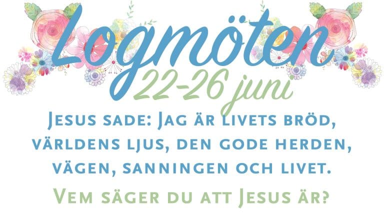 logmöte