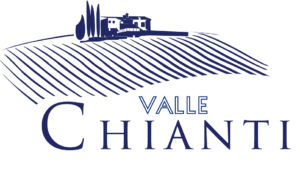 logo di vallechianti del sito www.vallechianti.com