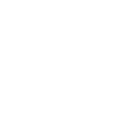 Vit Vit
