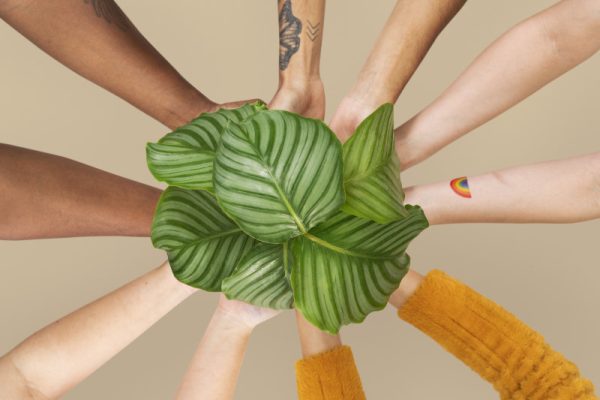Hands cupping plant save the environment campaign Hands cupping plant save the environment campaign
