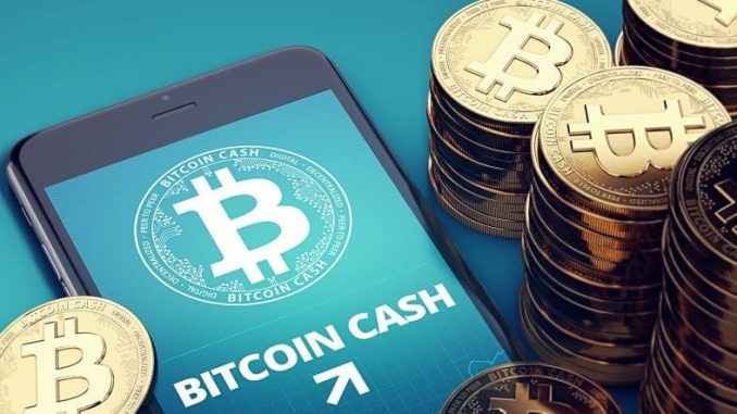 Bitcoin - Cash - VALUTAEN