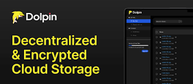 Hva - er - Dolphin - Centralized - Storage