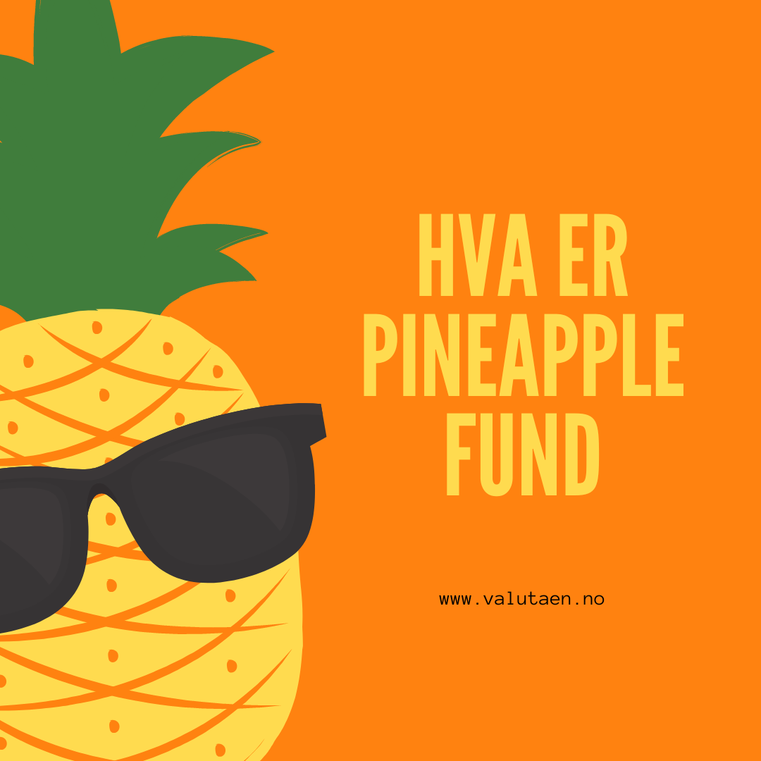 Hva - er - Pineapple - Fund.png