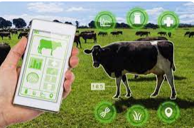 AI - og - IoT - i - Landbruk - valutaen.png