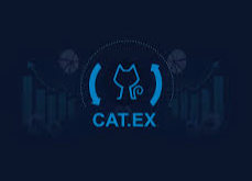 Catex - AI-handelsalgoritme - valutaen.png