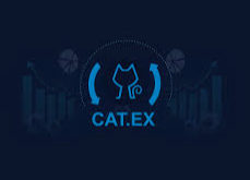 Catex - AI-handelsalgoritme - valutaen Catex - AI-handelsalgoritme - valutaen.png