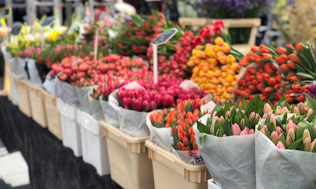 Flower Market, Amsterdam