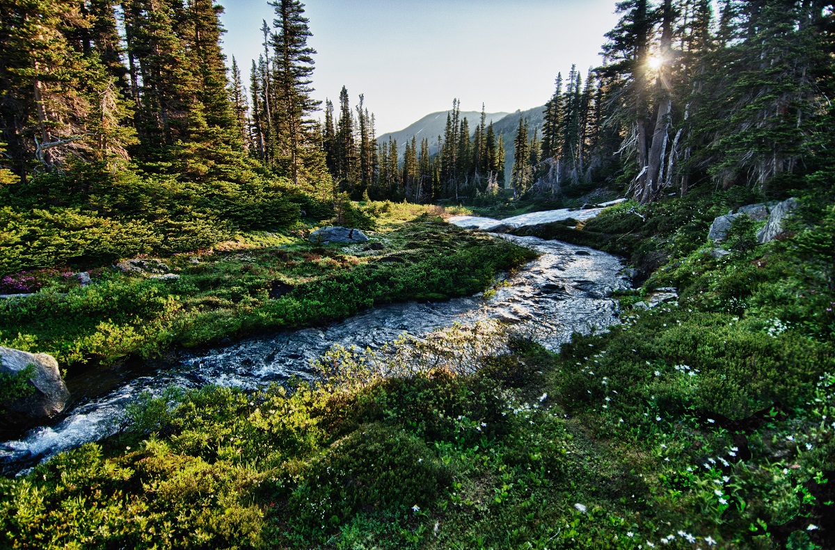 Olympic National Park, Washington USA