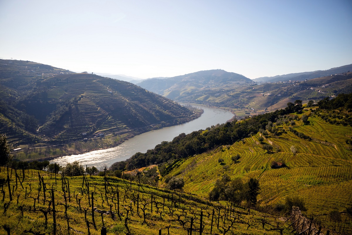 Douro Valley, Portugal