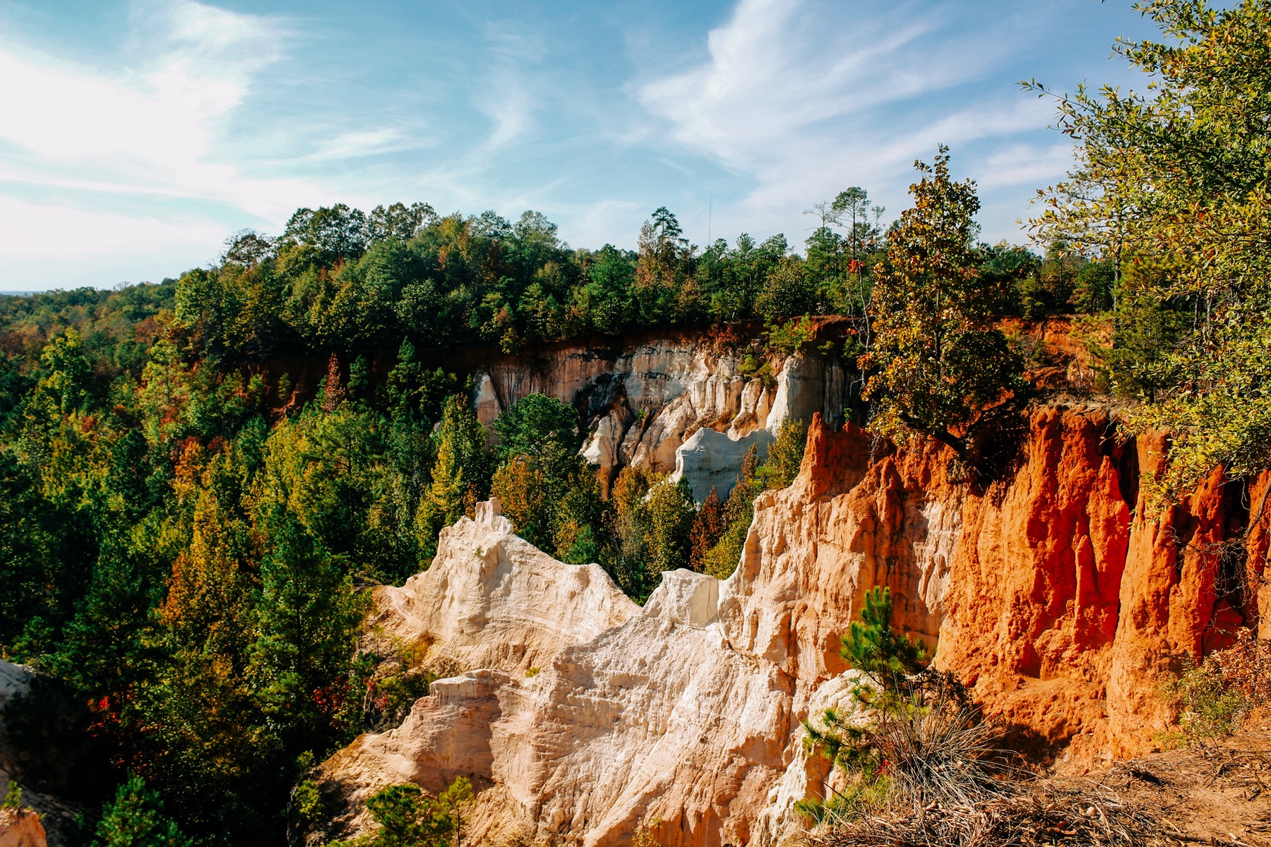 Providence Canyon State Park, Georgia, USA