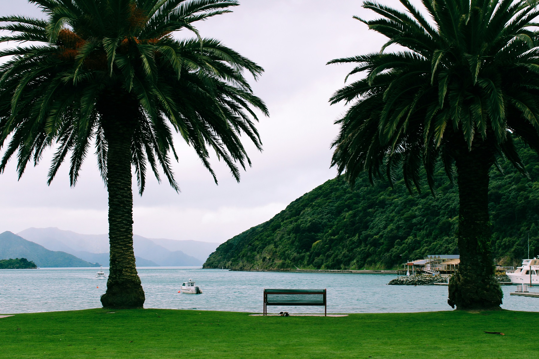 Picton, New Zealand