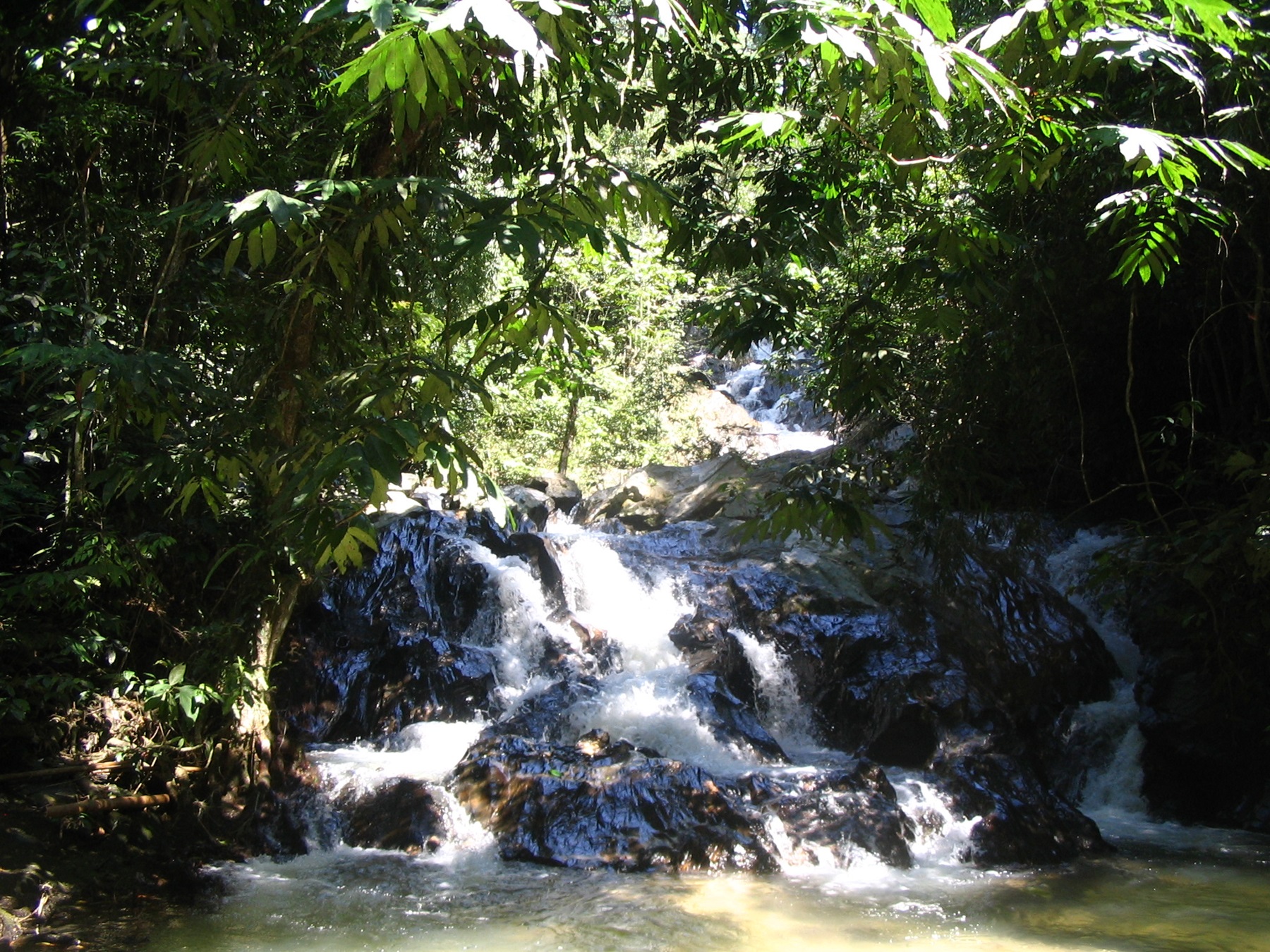 Templer Park, Kuala Lumpur