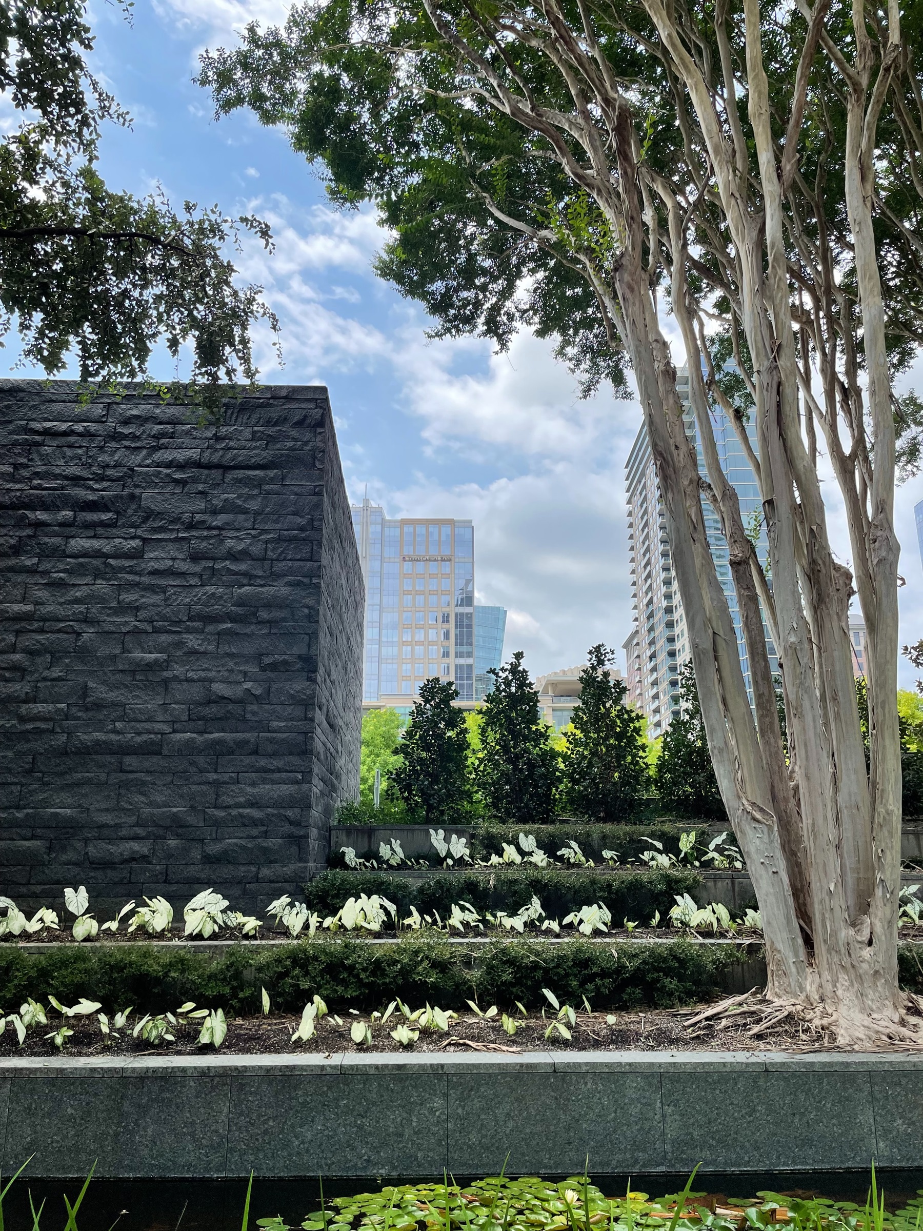 Nasher Sculpture Center, Dallas