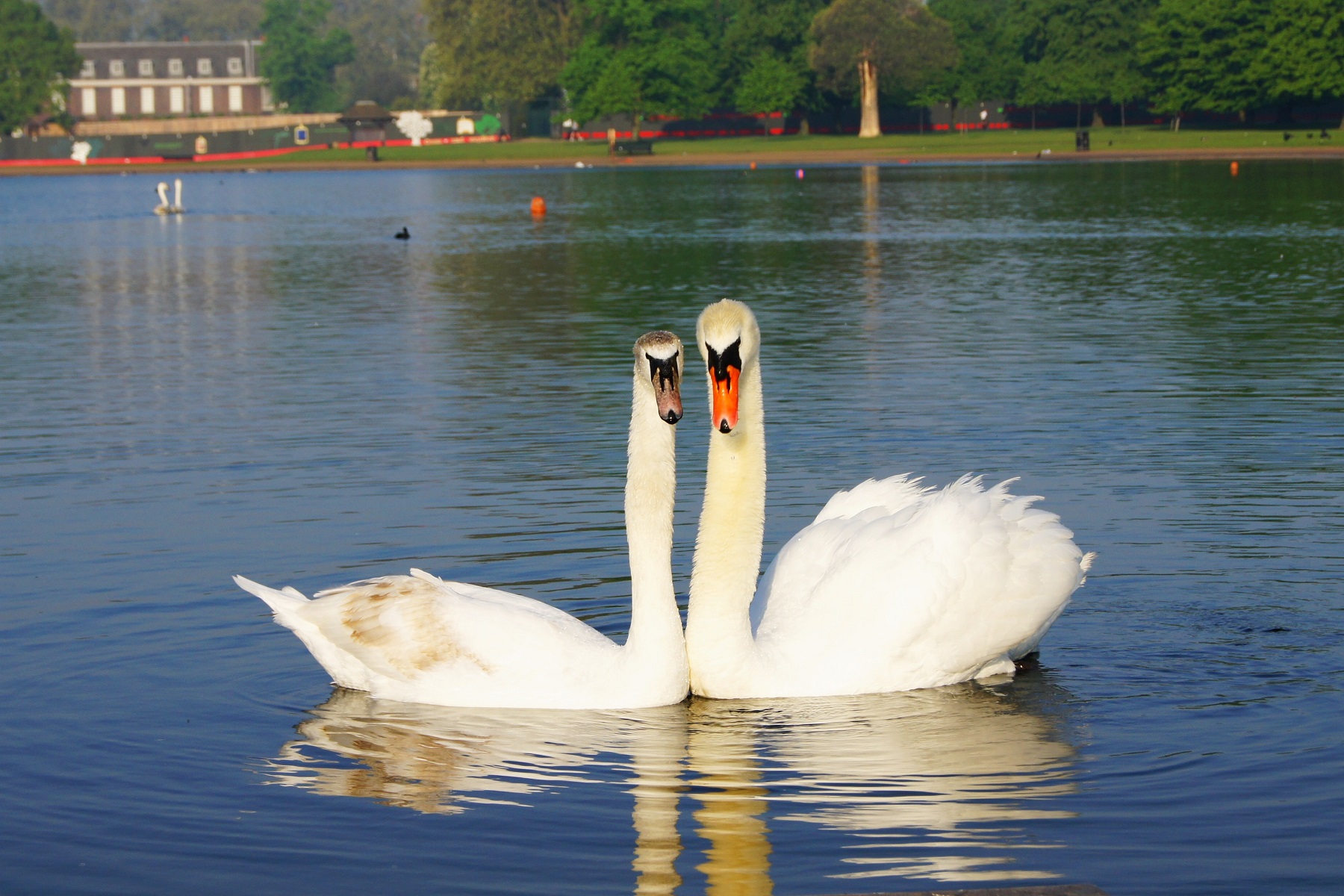 Kensington Gardens, London
