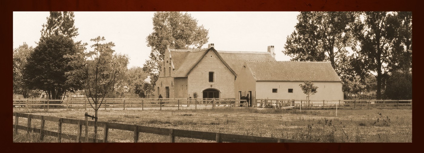 Cattery van Brukel