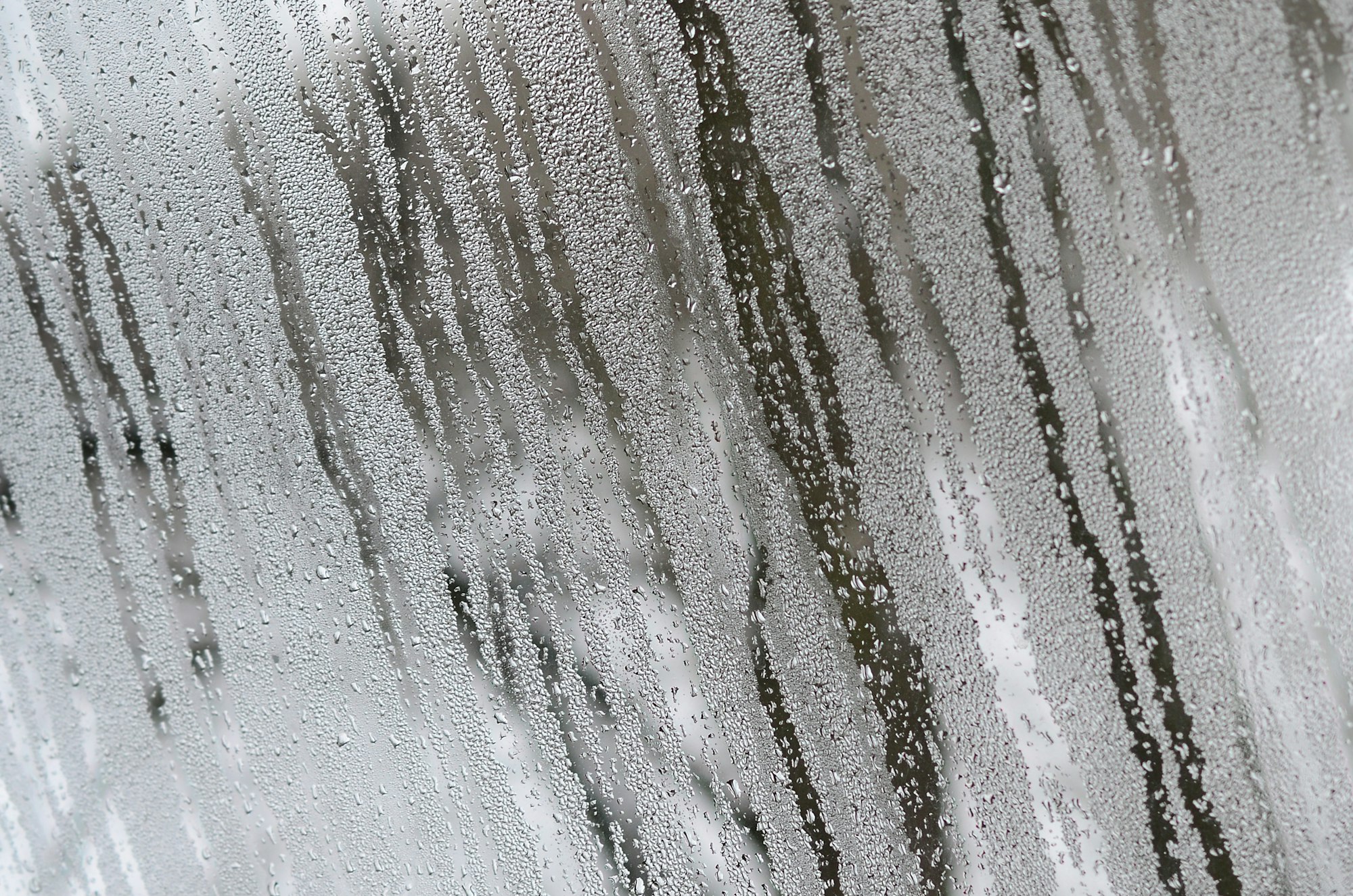 Vandskade efter skybrud - Hurtig håndtering og hjælp