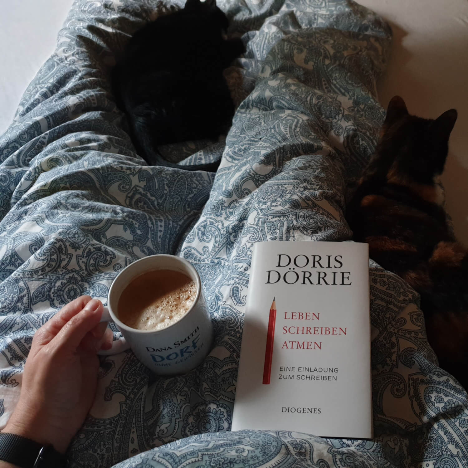 Ich sitze mit den Katzen, einem Buch und Kaffee im Bett