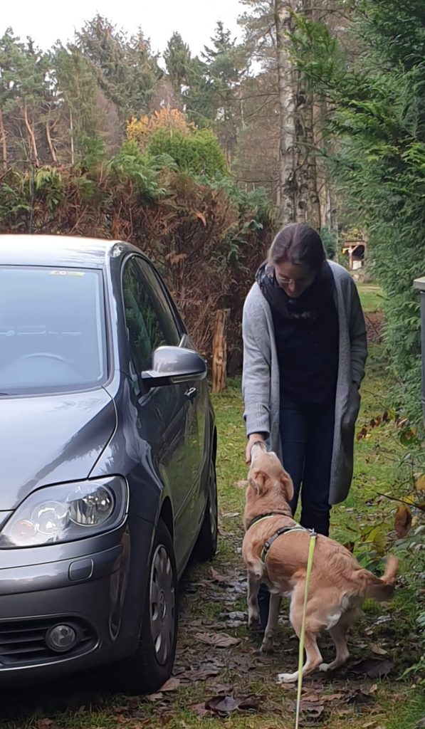 Hund begrüßt eine Frau, die aus einem Auto steigt