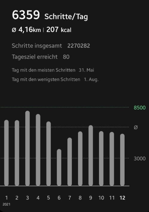Mein Jahresdurchschnitt Schrittzähler