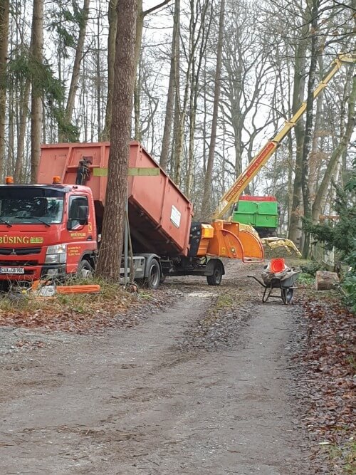 Ein Hecksler und ein Kipplaster. Arbeiter beseitigen Bäume auf dem Weg.